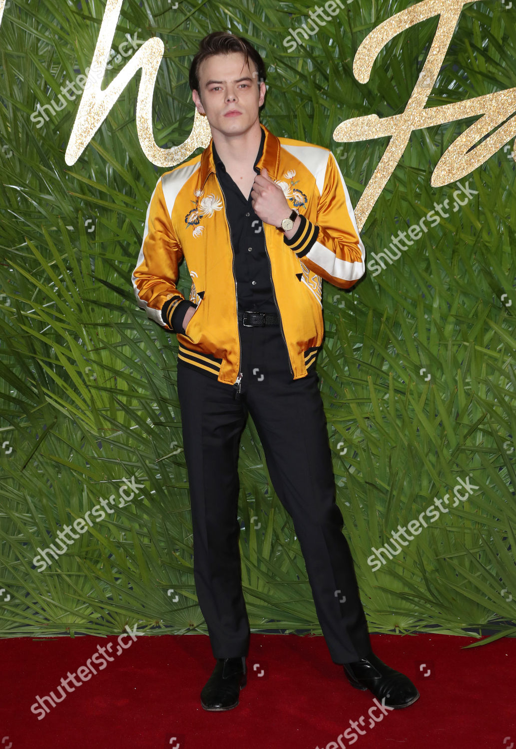 Charlie Heaton Editorial Stock Photo - Stock Image | Shutterstock