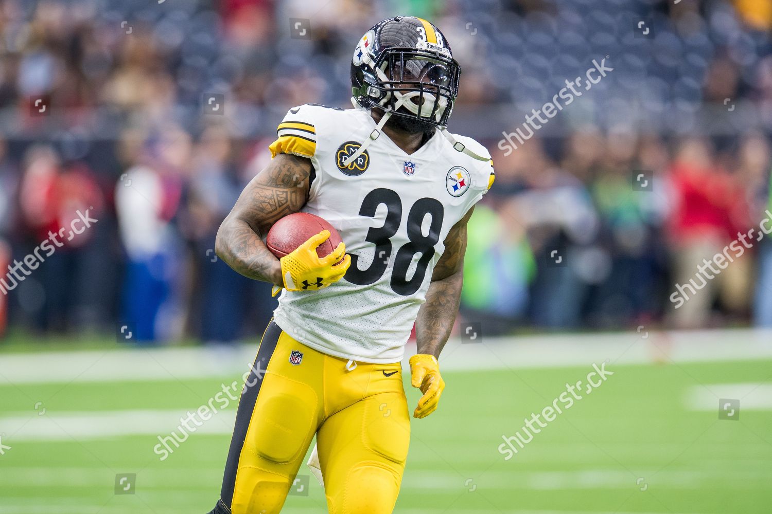 Pittsburgh Steelers Running Back Stevan Ridley Editorial Stock Photo ...