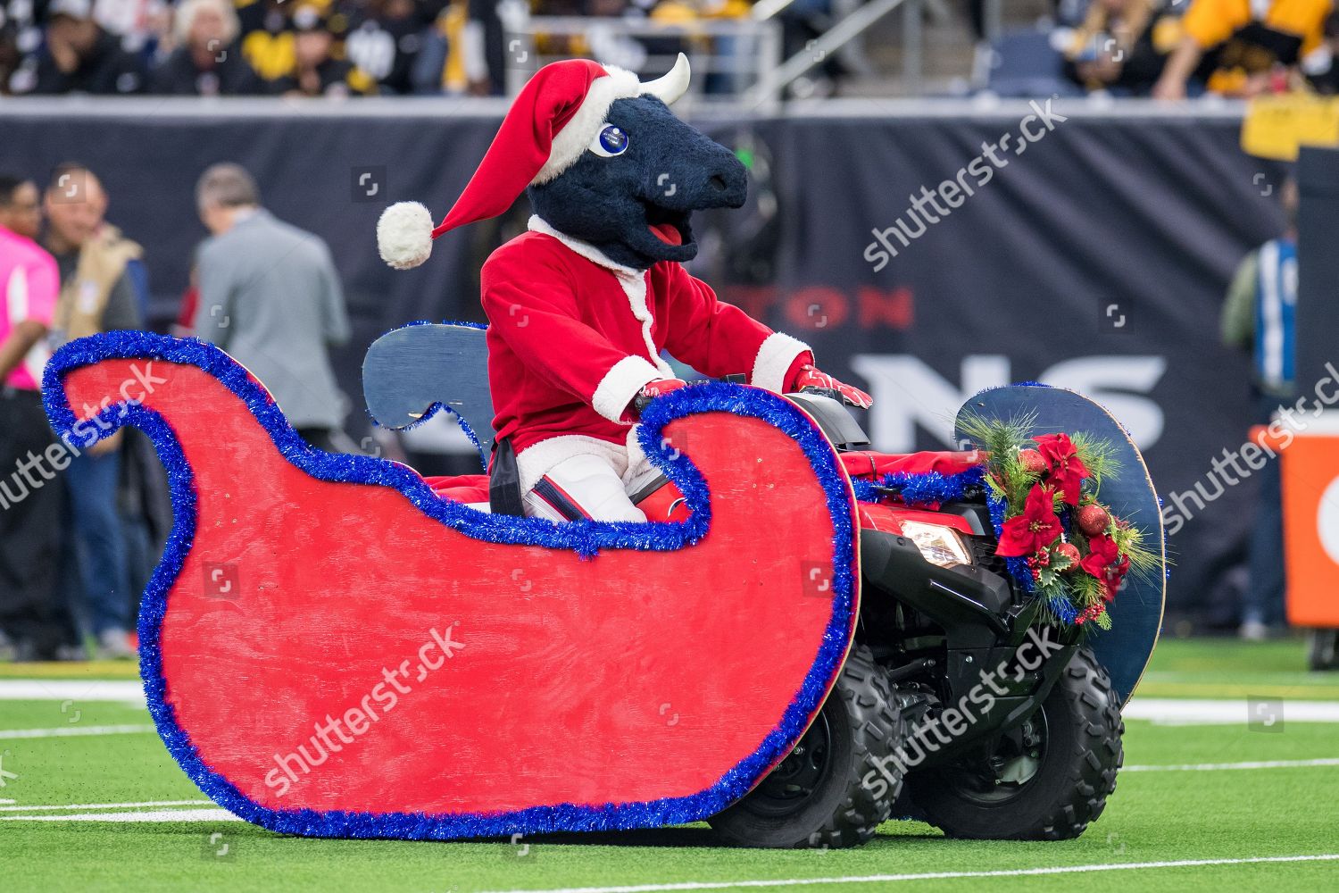 Toro Houston Texans Mascot On Field Editorial Stock Photo - Stock Image