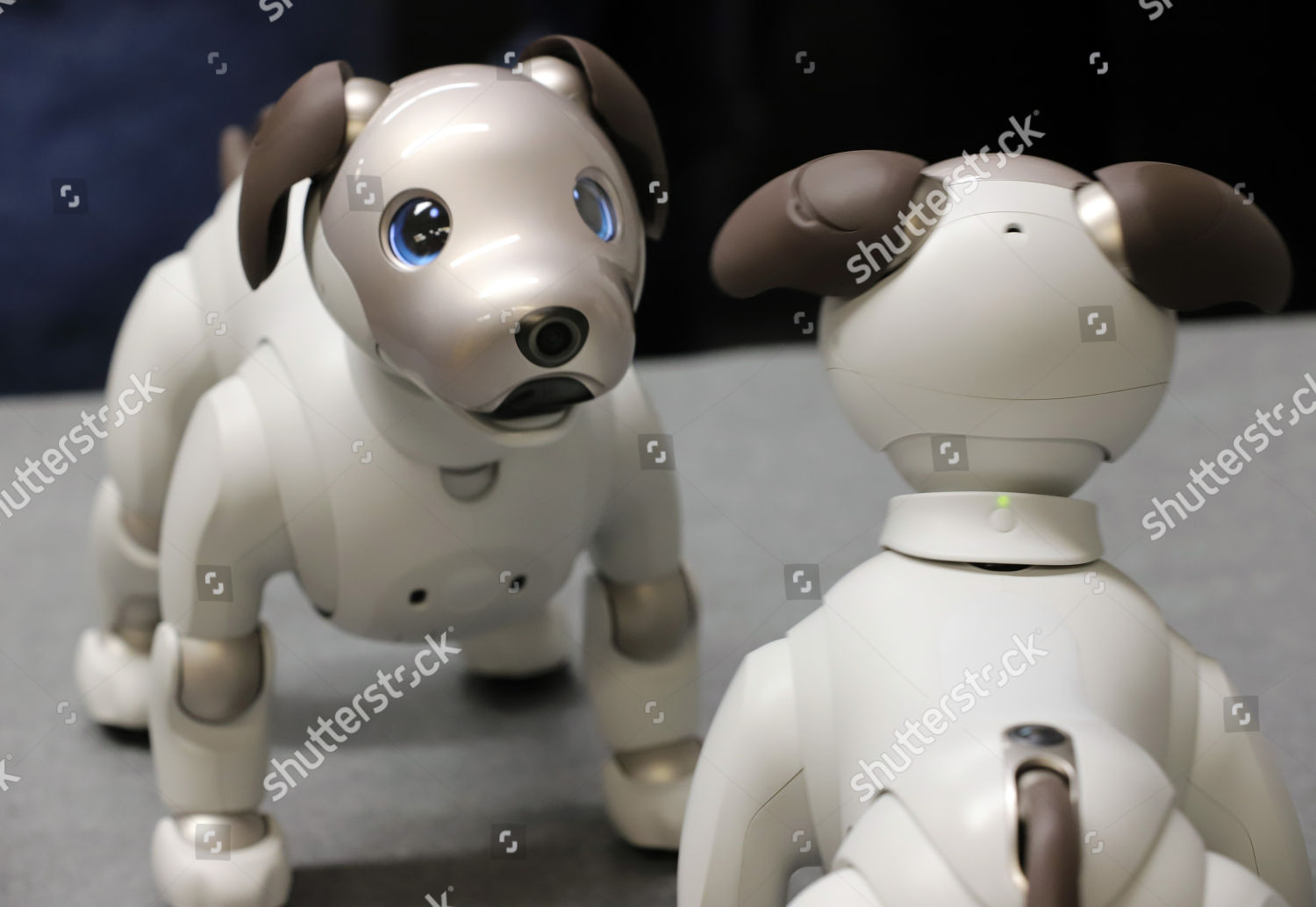 Launch Sony Robot Dog Aibo Ers1000 Editorial Stock Photo - Stock