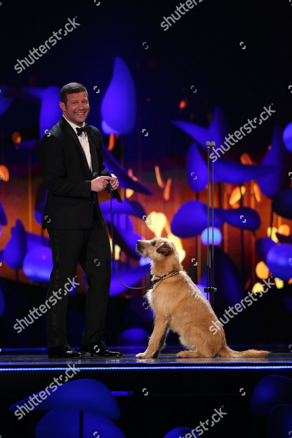 Dermot Oleary Dog Editorial Stock Photo - Stock Image | Shutterstock
