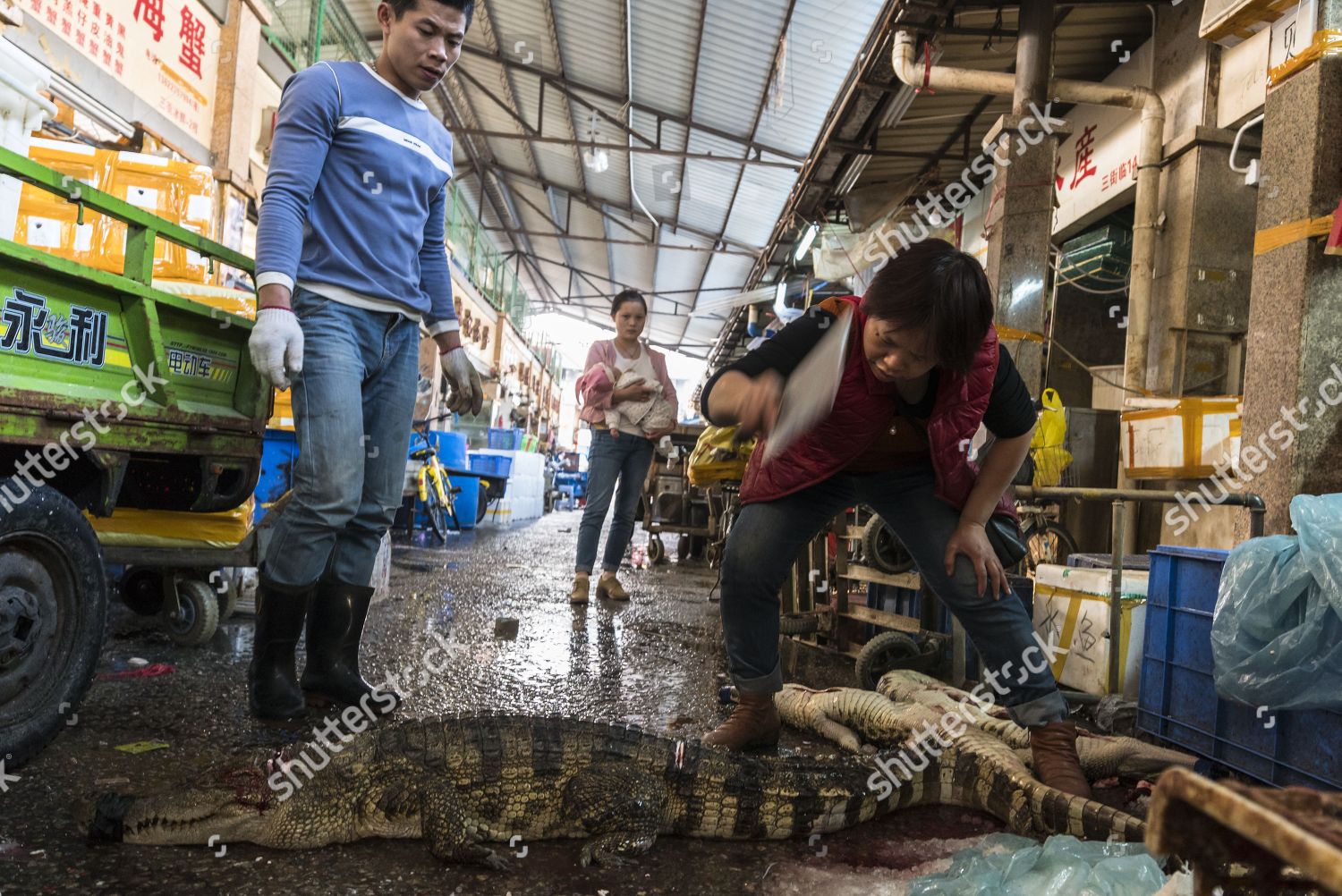 Chopped crocodile at a wet market in Guangzhou, China.