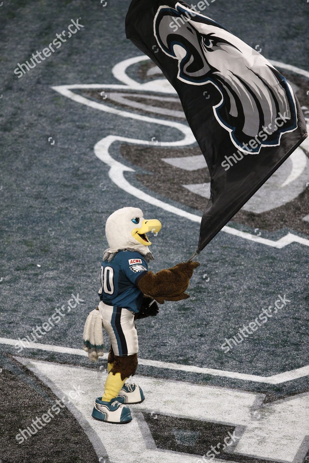 Swoop Philadelphia Eagles Mascot Who Appear Editorial Stock Photo - Stock  Image