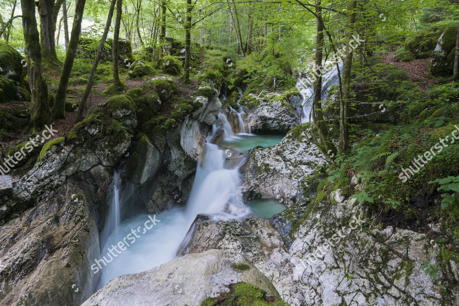 Lepenjica River Cascades Triglav National Park Editorial Stock Photo Stock Image Shutterstock
