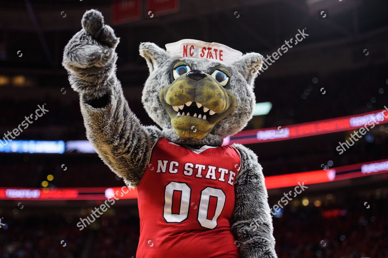 Nc State Wolf Mascot During Ncaa Editorial Stock Photo - Stock Image ...
