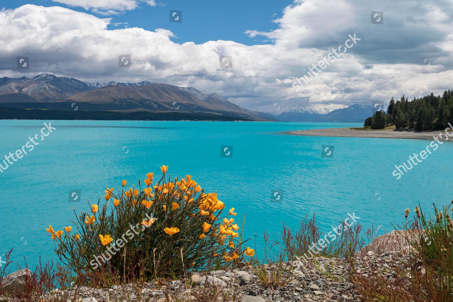 lake-pukaki-mountains-behind-new-zealand-editorial-stock-photo-stock