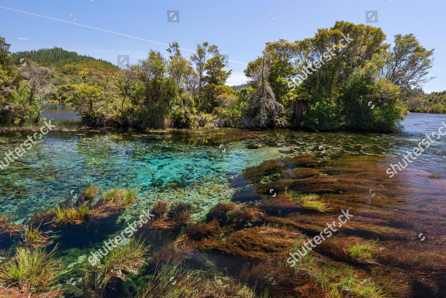 Clear Water Central Overflow Te Waikoropupu Springs Editorial Stock Photo Stock Image Shutterstock