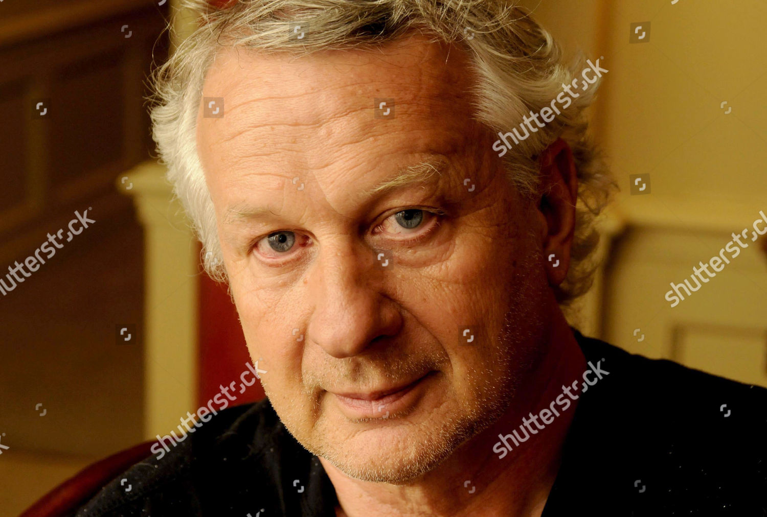 Joe Queenan Editorial Stock Photo Stock Image Shutterstock