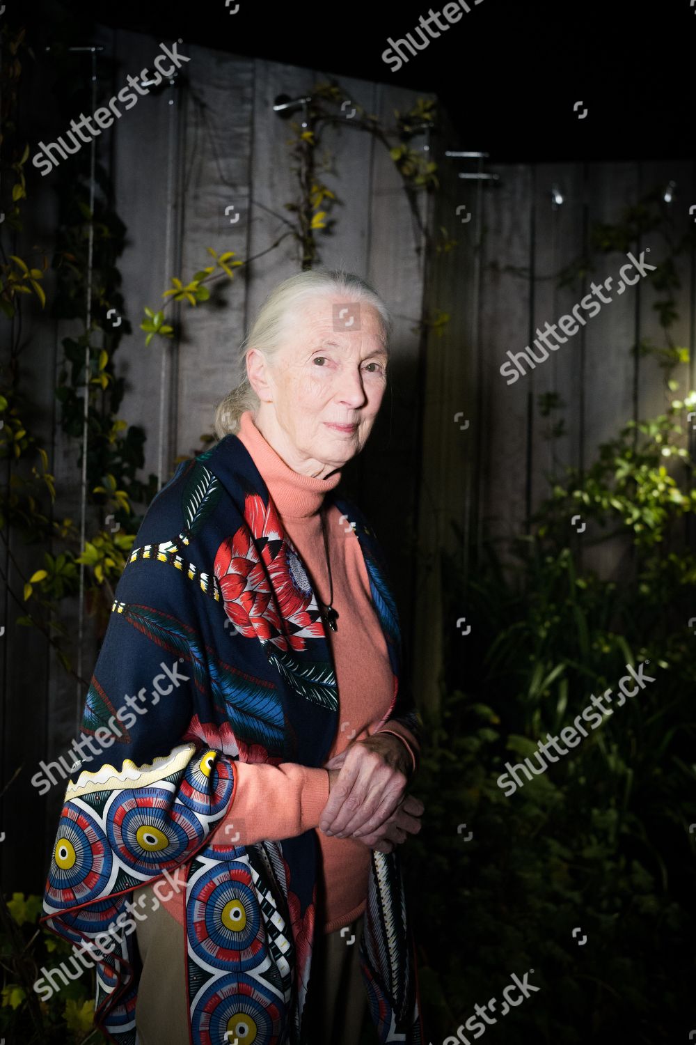Jane Goodall Editorial Stock Photo - Stock Image | Shutterstock