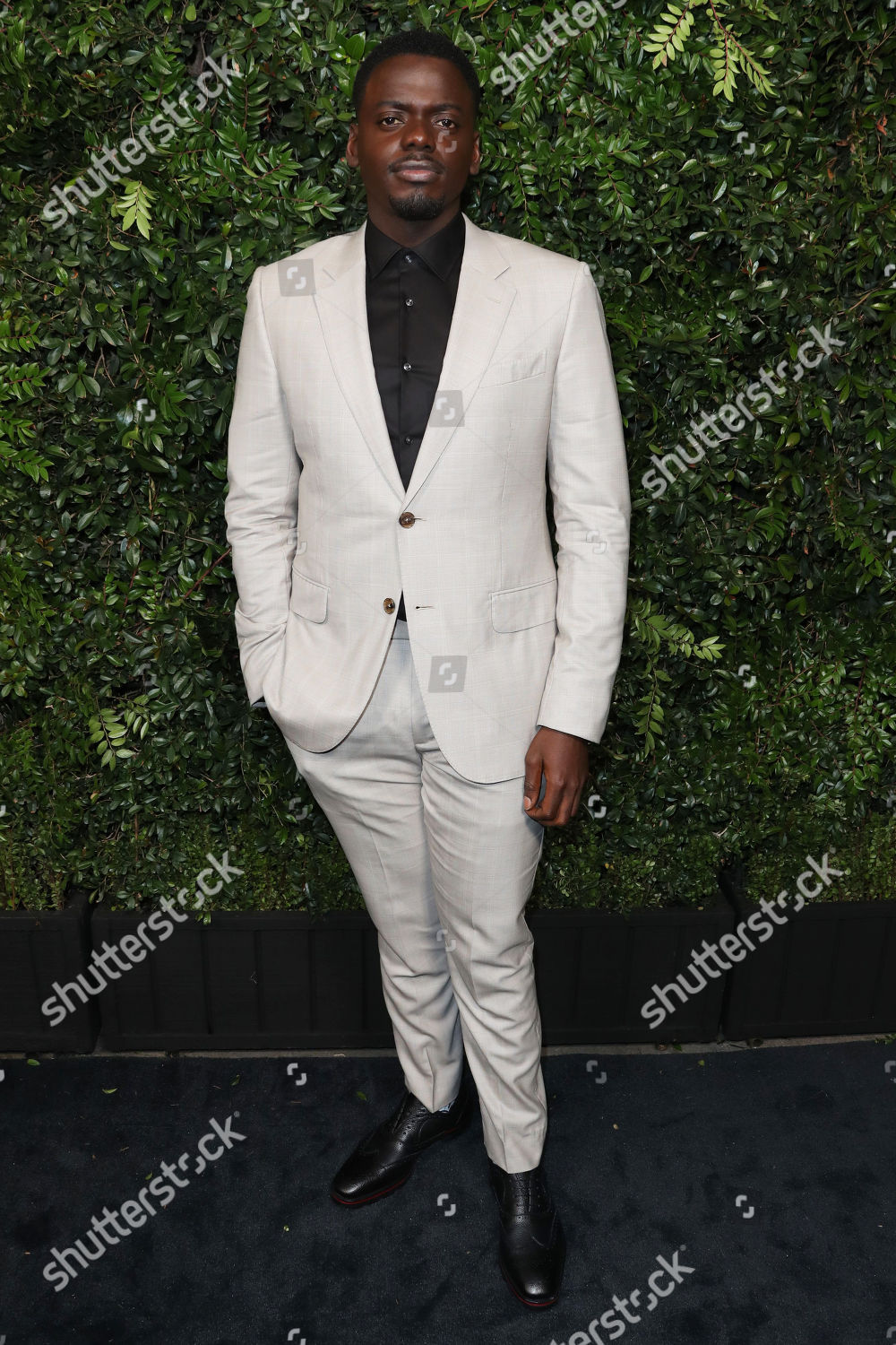 Daniel Kaluuya Editorial Stock Photo - Stock Image | Shutterstock