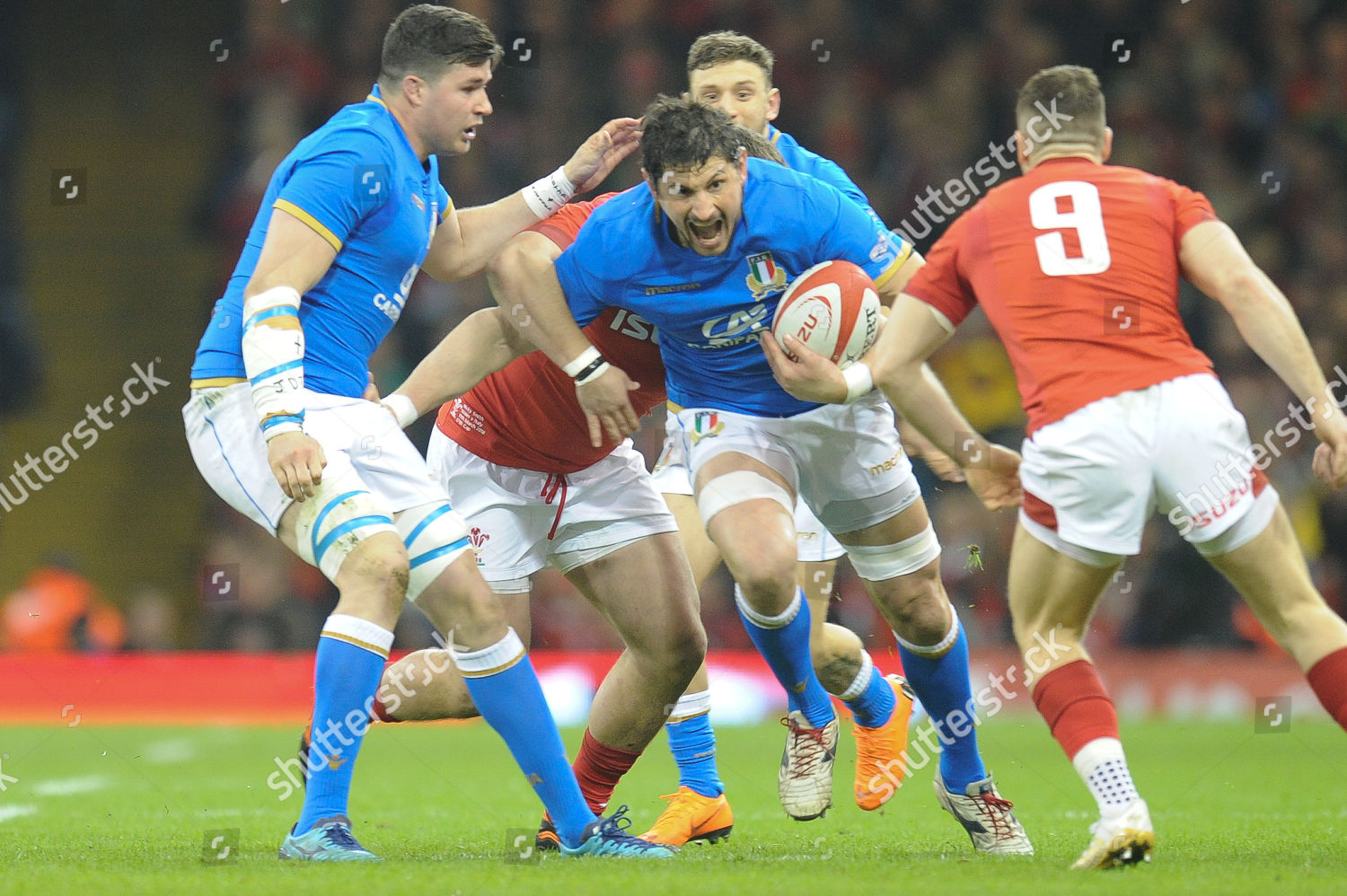 Alessandro Zanni Italy Editorial Stock Photo Stock Image Shutterstock