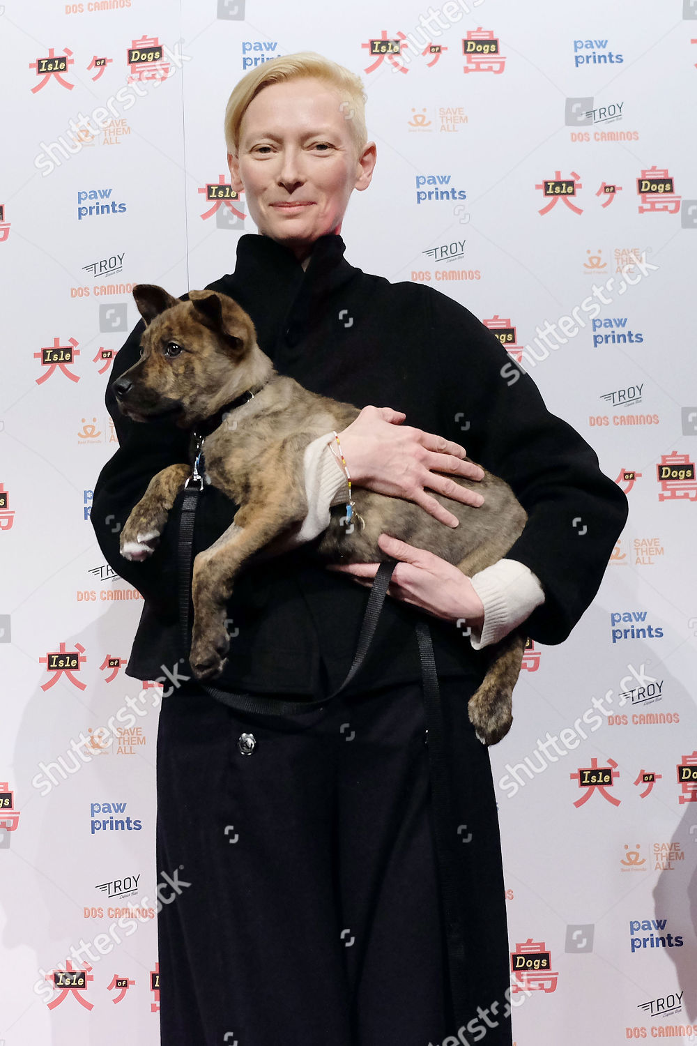 Tilda Swinton Editorial Stock Photo - Stock Image | Shutterstock