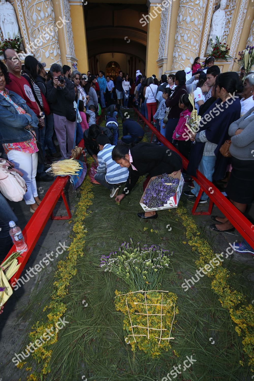 Flowers Used Decorate Grass Reed Alfombra Carpet Editorial Stock