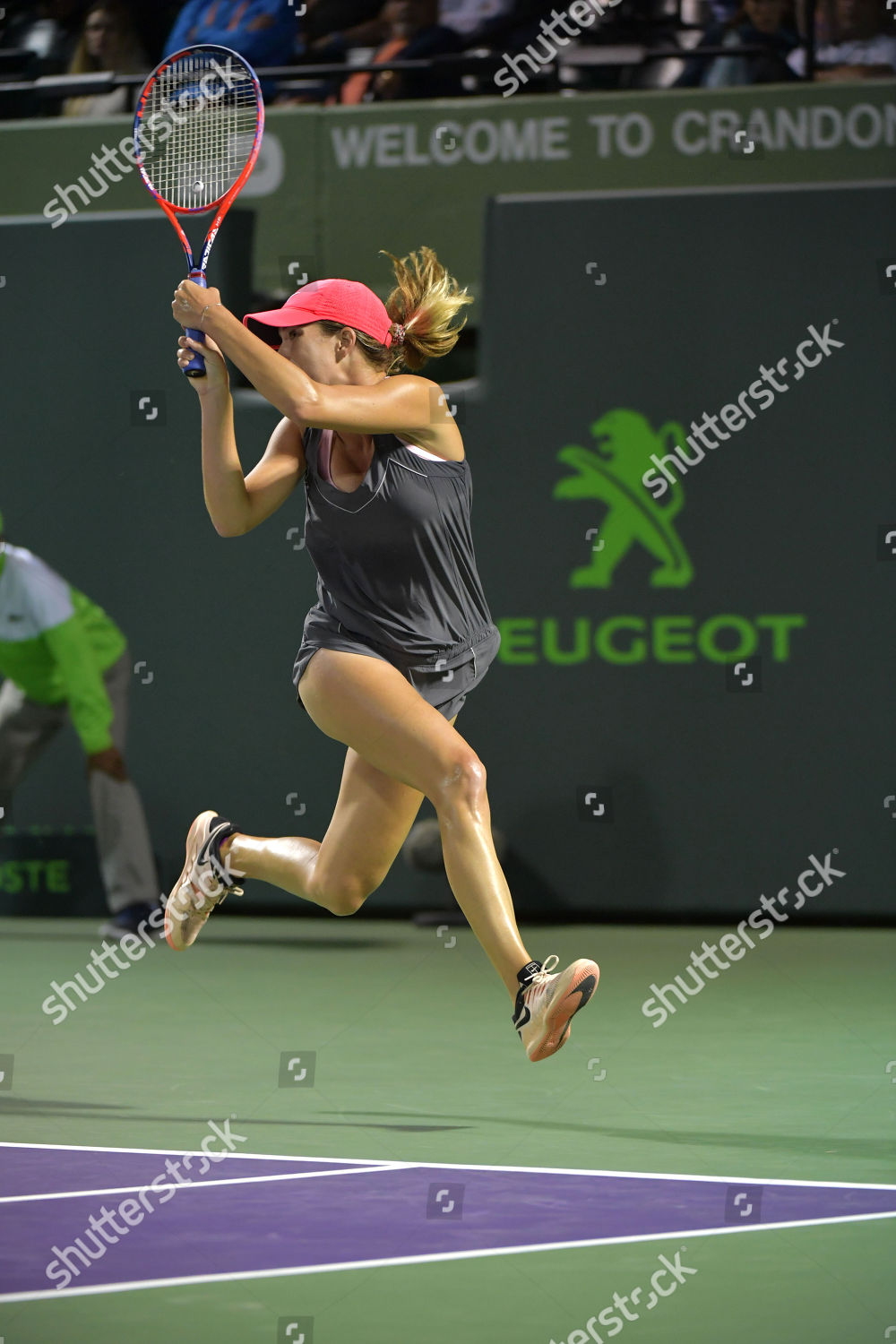 Danielle Collins Editorial Stock Photo - Stock Image | Shutterstock