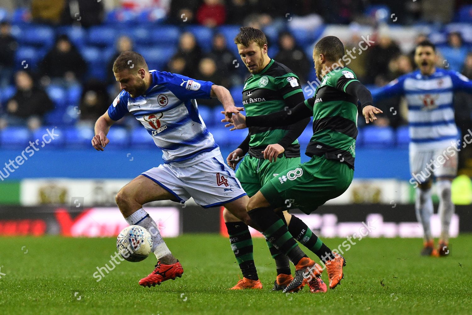 Joey Van Den Berg 4 Reading Editorial Stock Photo - Stock Image ...