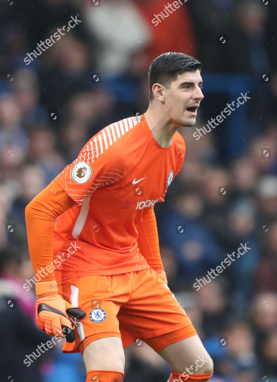 Chelsea Goalkeeper Thibaut Courtois Editorial Stock Photo - Stock Image ...