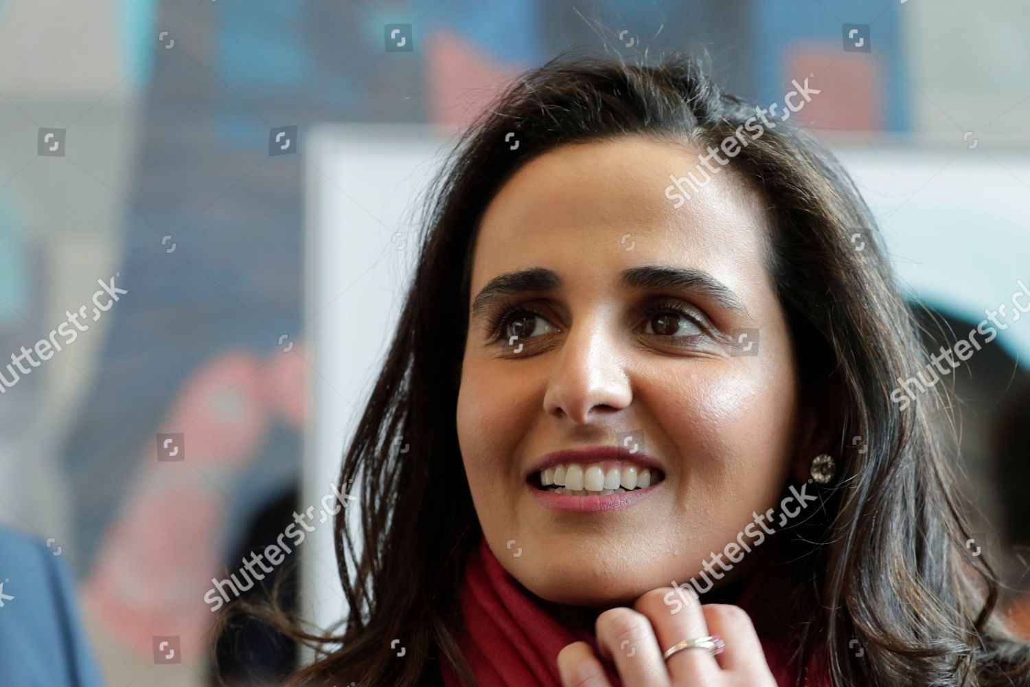 Almayassa Bint Hamad Bin Khalifa Althani During Editorial Stock Photo Stock Image Shutterstock