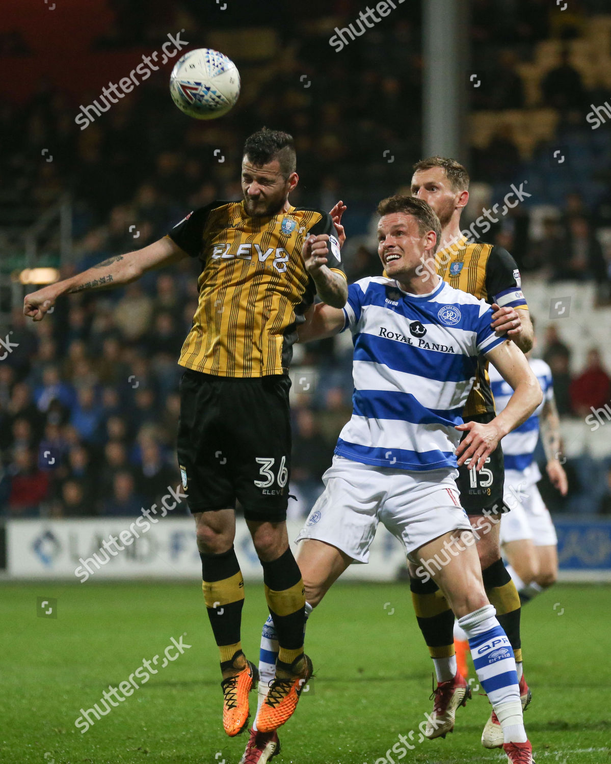 Daniel Pudil Sheffield Wednesday Heads Under Editorial Stock Photo ...