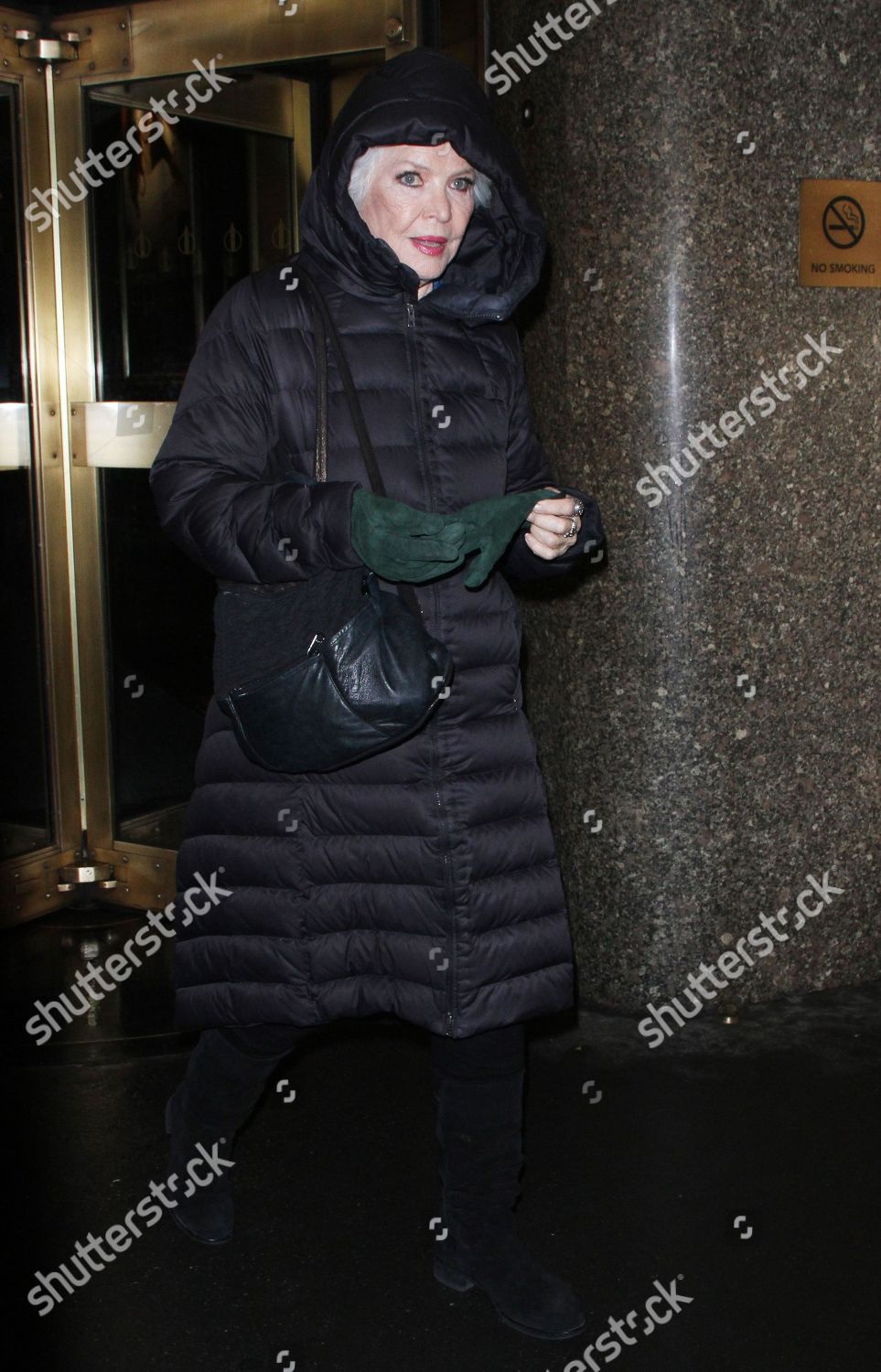 Ellen Burstyn Editorial Stock Photo - Stock Image | Shutterstock