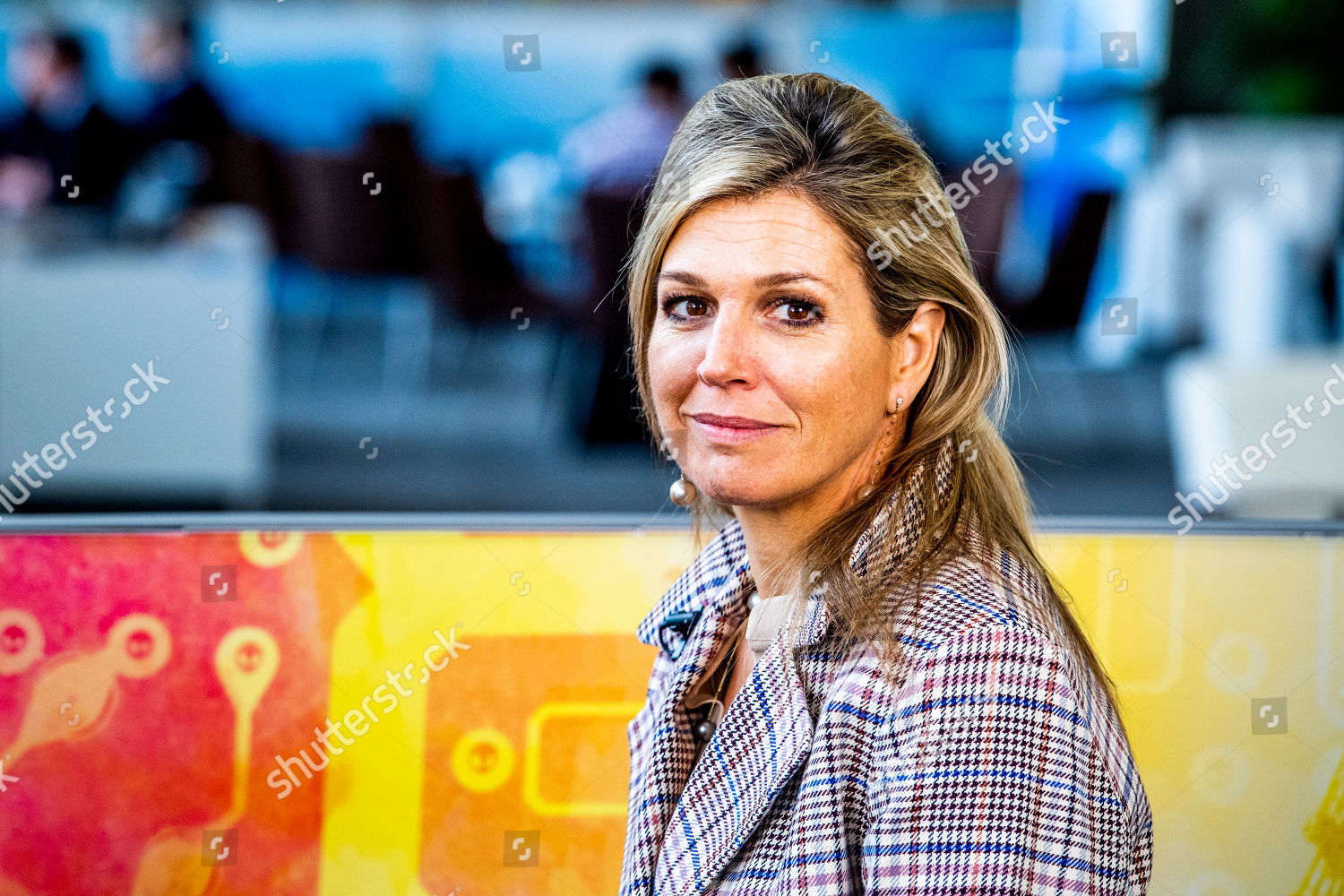 queen-maxima-in-her-role-as-special-advocate-of-the-un-secretary-general-for-inclusive-financing-for-development-during-a-facebook-live-interview-washington-usa-shutterstock-editorial-9639166n.jpg