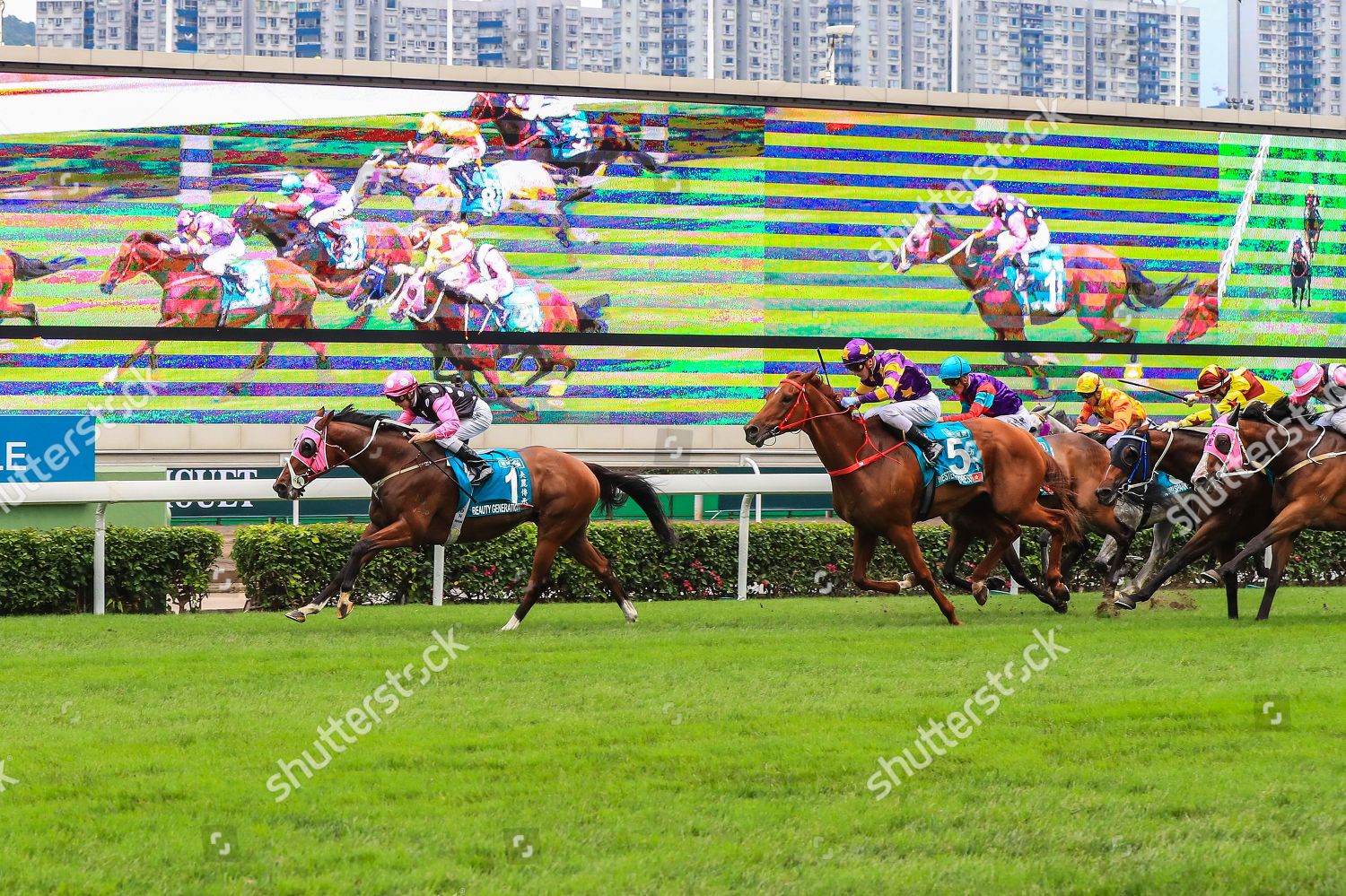 champions-day-group-1-race-meeting-editorial-stock-photo-stock-image