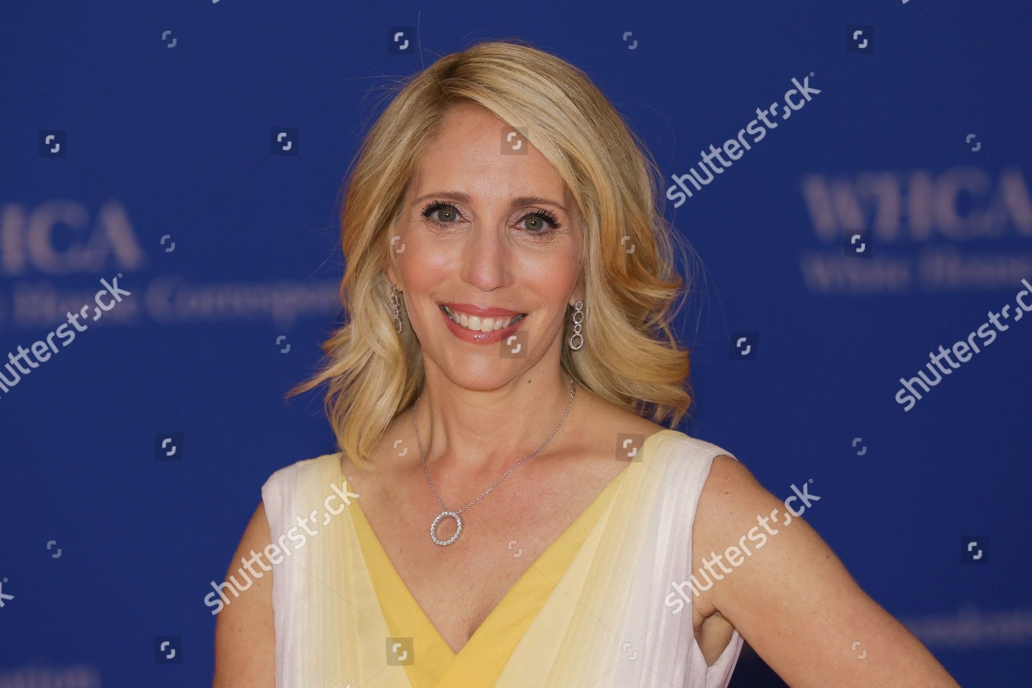 Dana Bash Editorial Stock Photo - Stock Image | Shutterstock