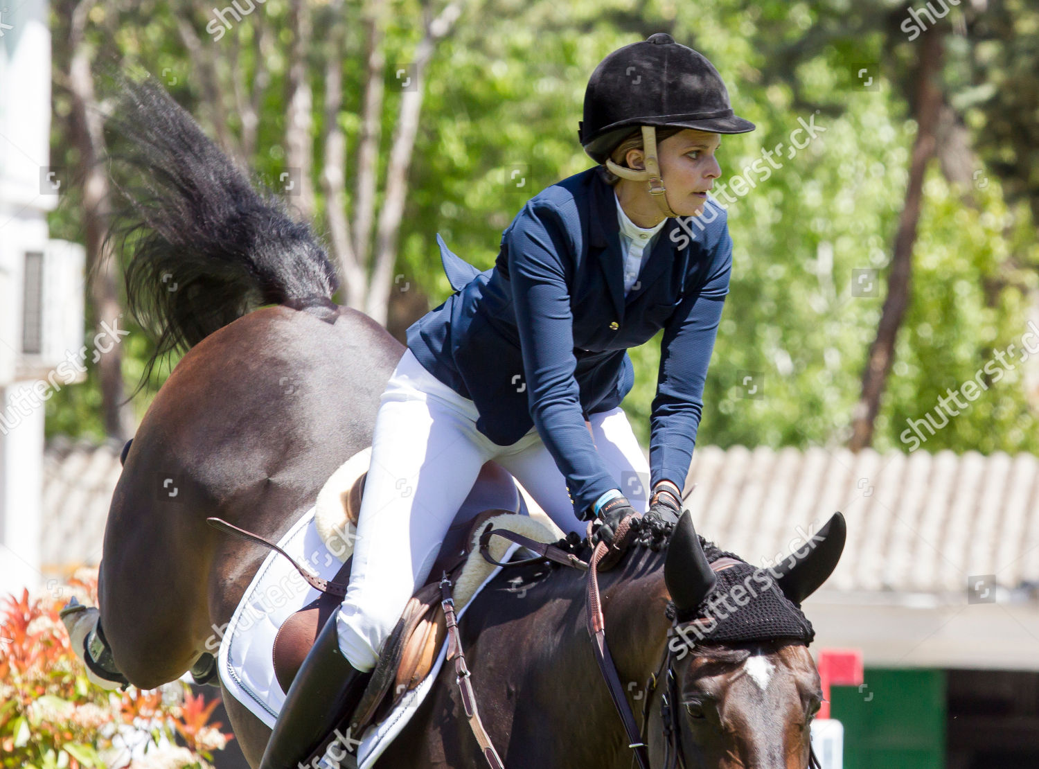 Athina Onassis Her Horses Her Heart Her Life - s995jx0