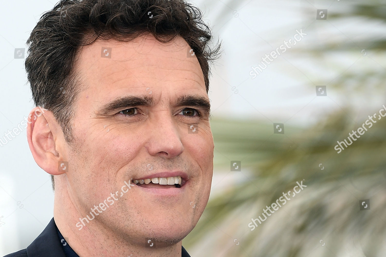 Matt Dillon Editorial Stock Photo - Stock Image | Shutterstock