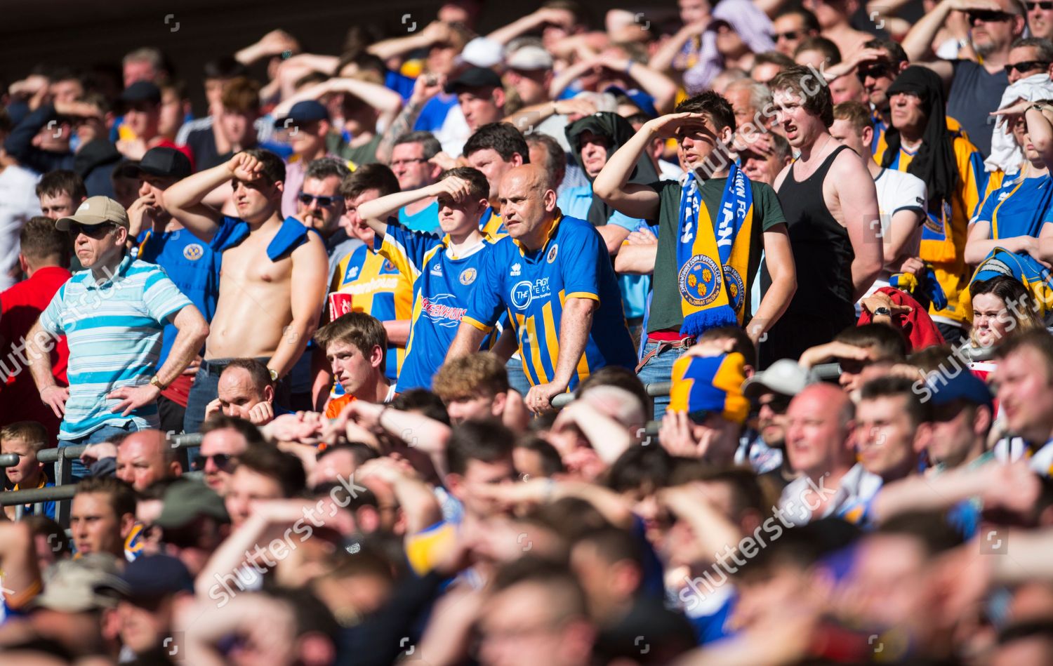 Shrewsbury Town Fans Editorial Stock Photo - Stock Image | Shutterstock