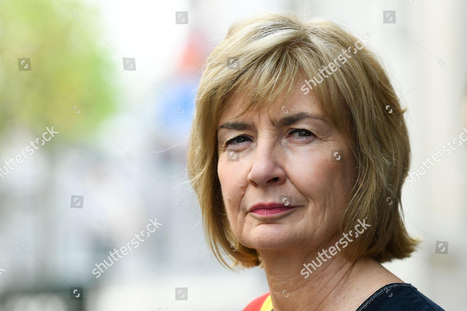 Francoise Schepmans Editorial Stock Photo - Stock Image | Shutterstock