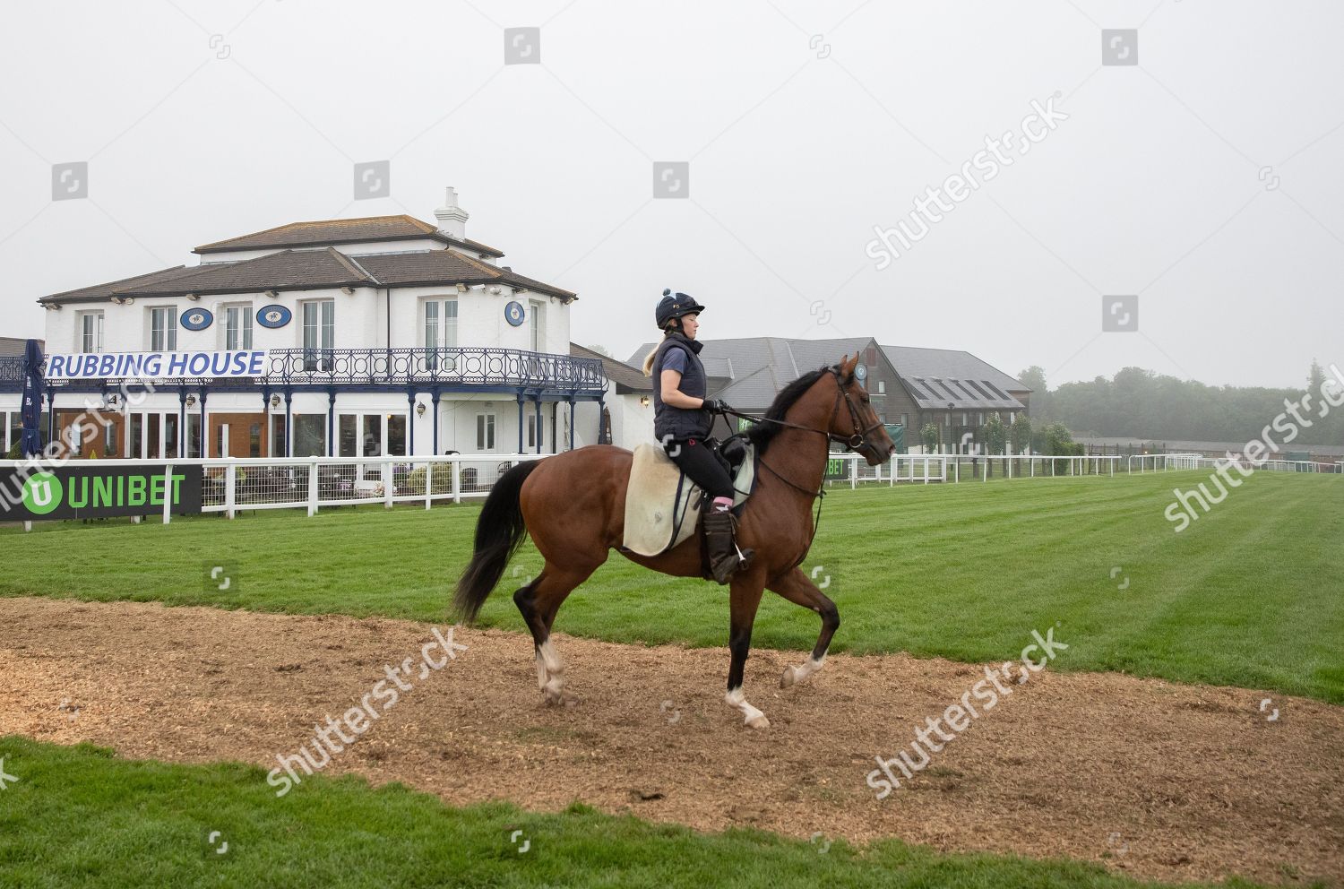 Horse Exercising Ahead Days Racing Editorial Stock Photo Stock