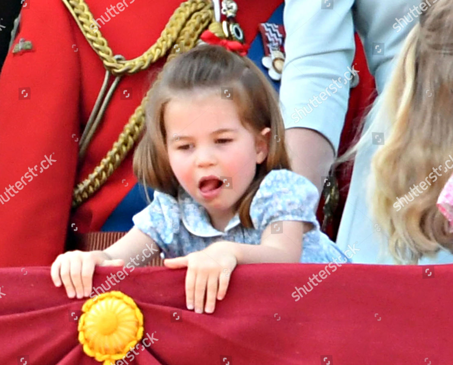 CASA REAL BRITÁNICA - Página 20 Trooping-the-colour-ceremony-london-uk-9708387bg-1500