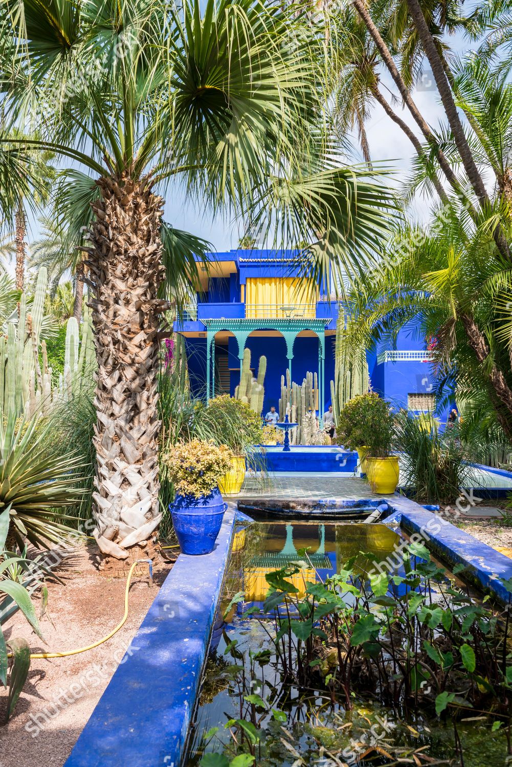 Blue House Jardin Majorelle Botanical Garden Editorial Stock Photo