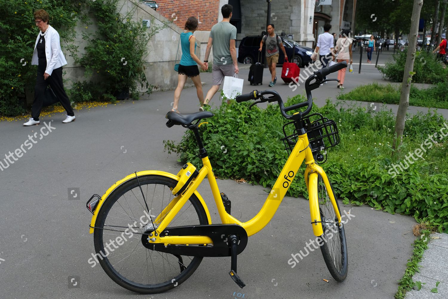 ofo collection