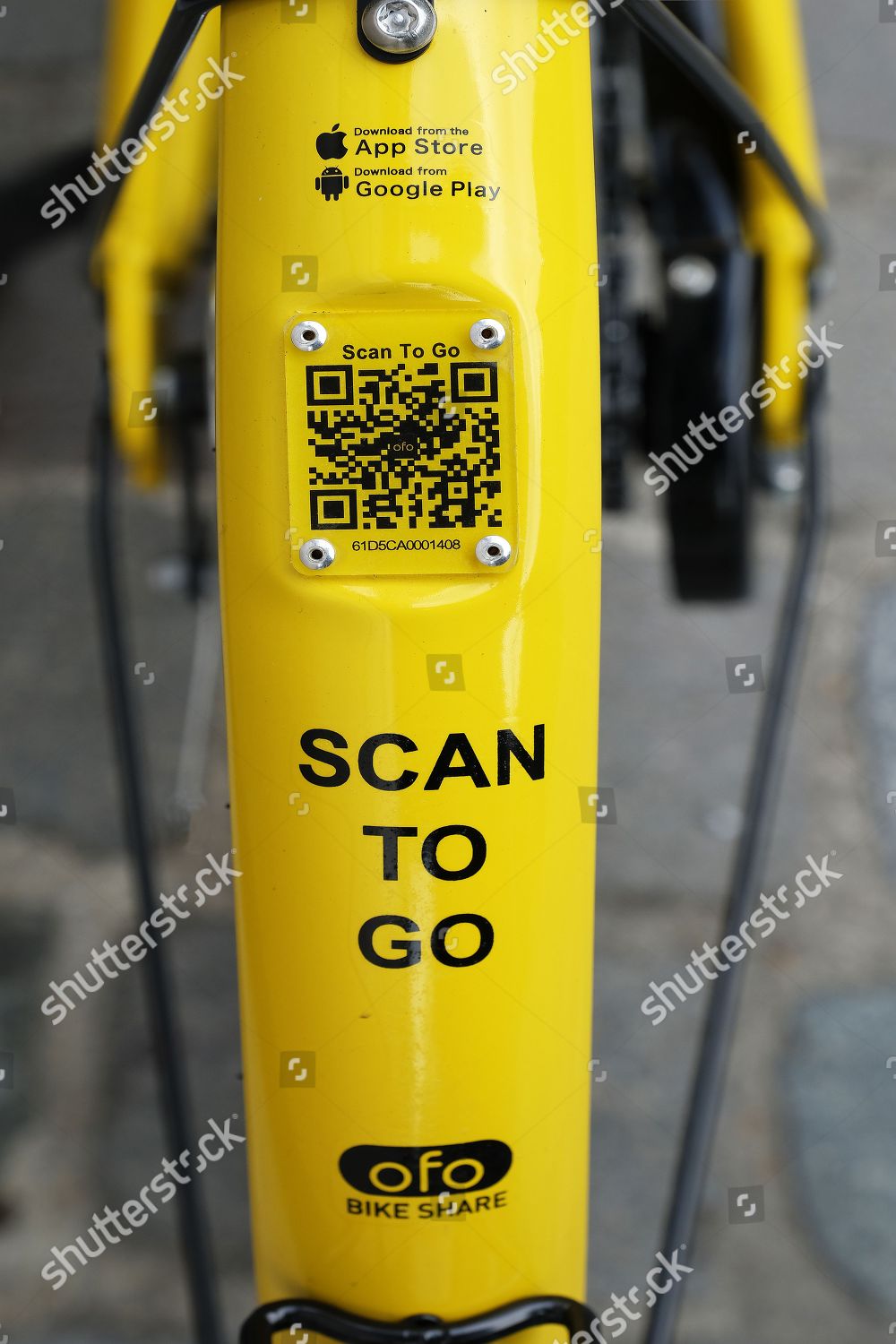 ofo collection