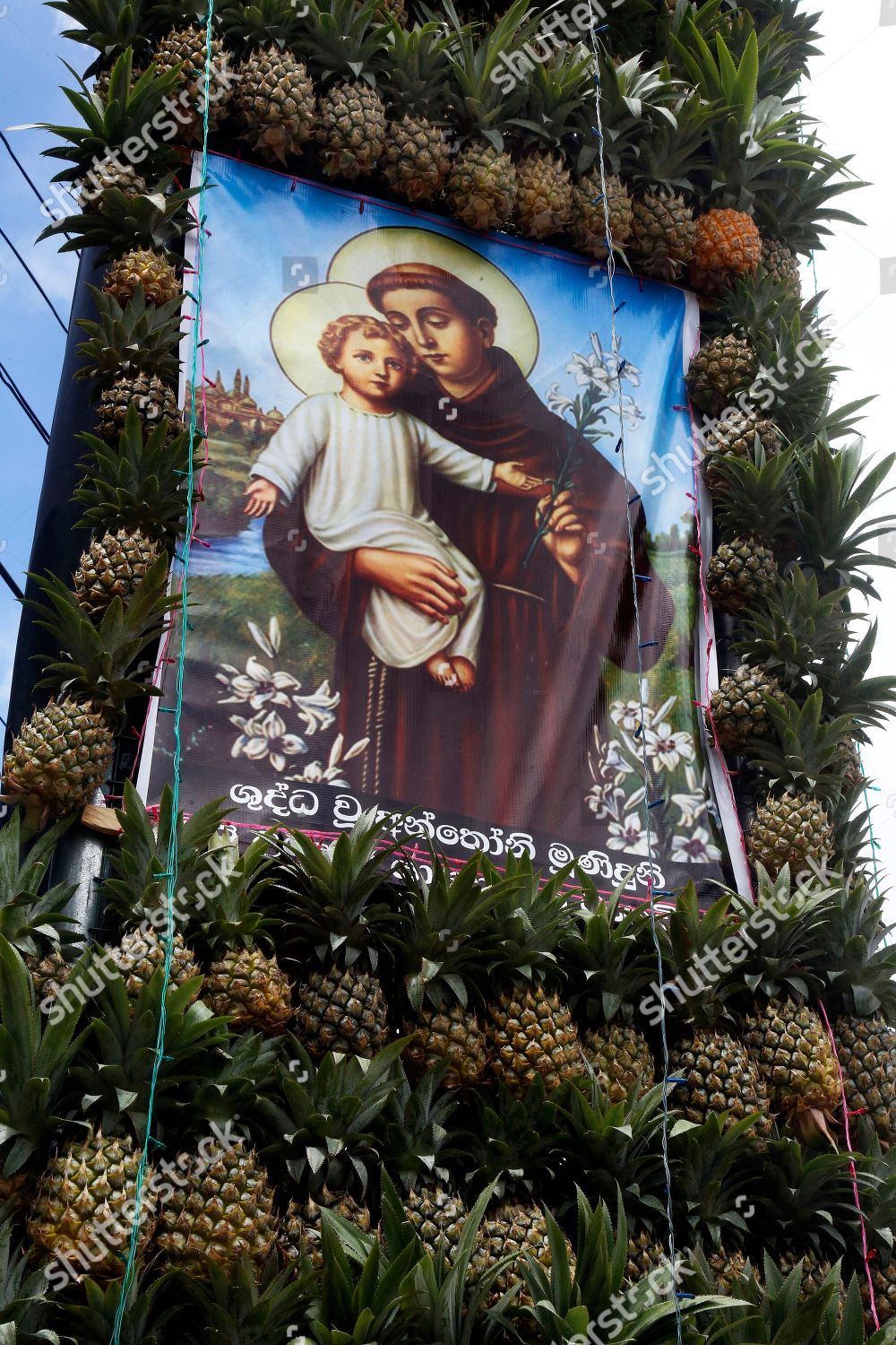 Section Pandal Made Out Pineapples Across Main Editorial Stock