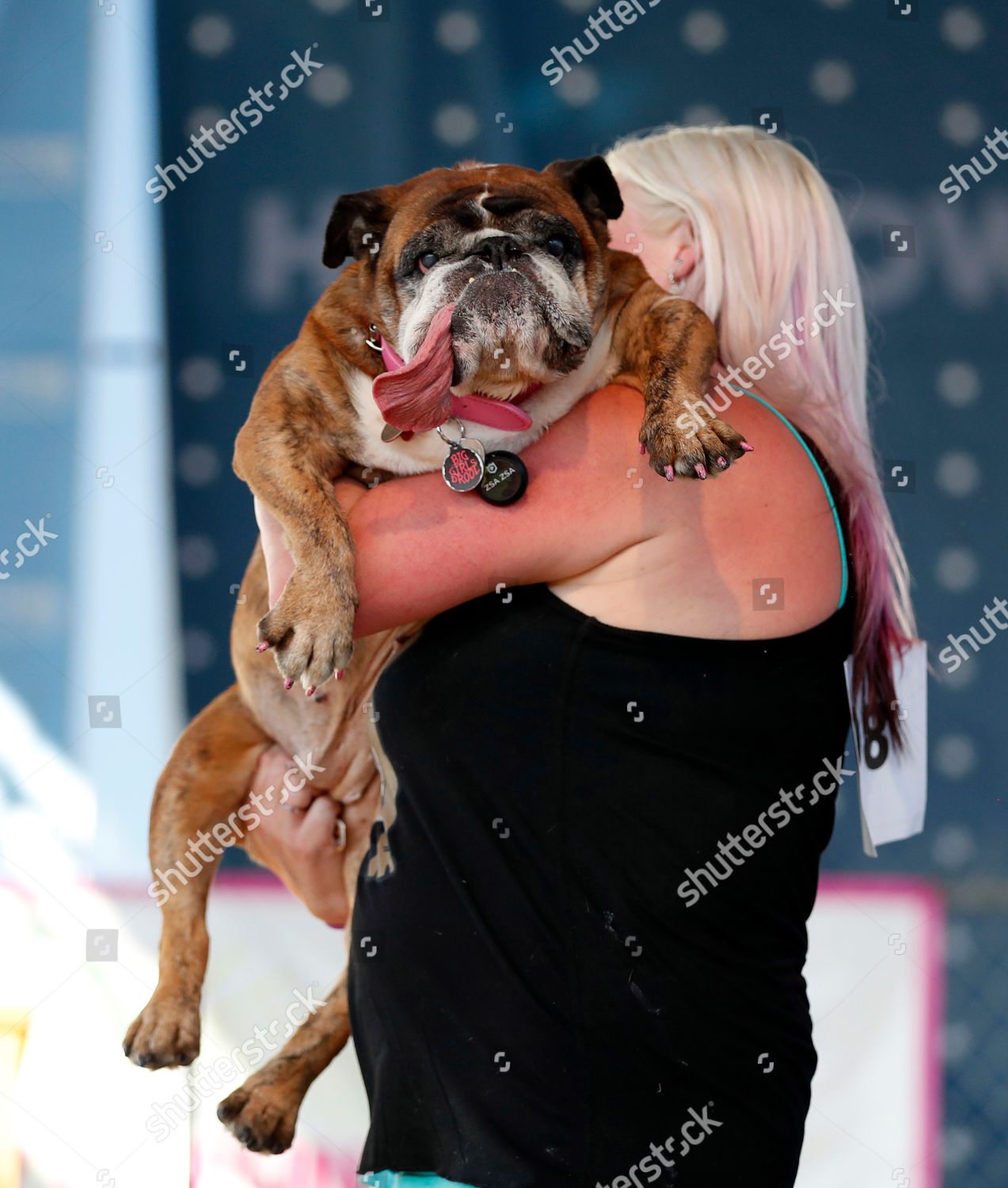 what is the name of the worlds ugliest dog 2018