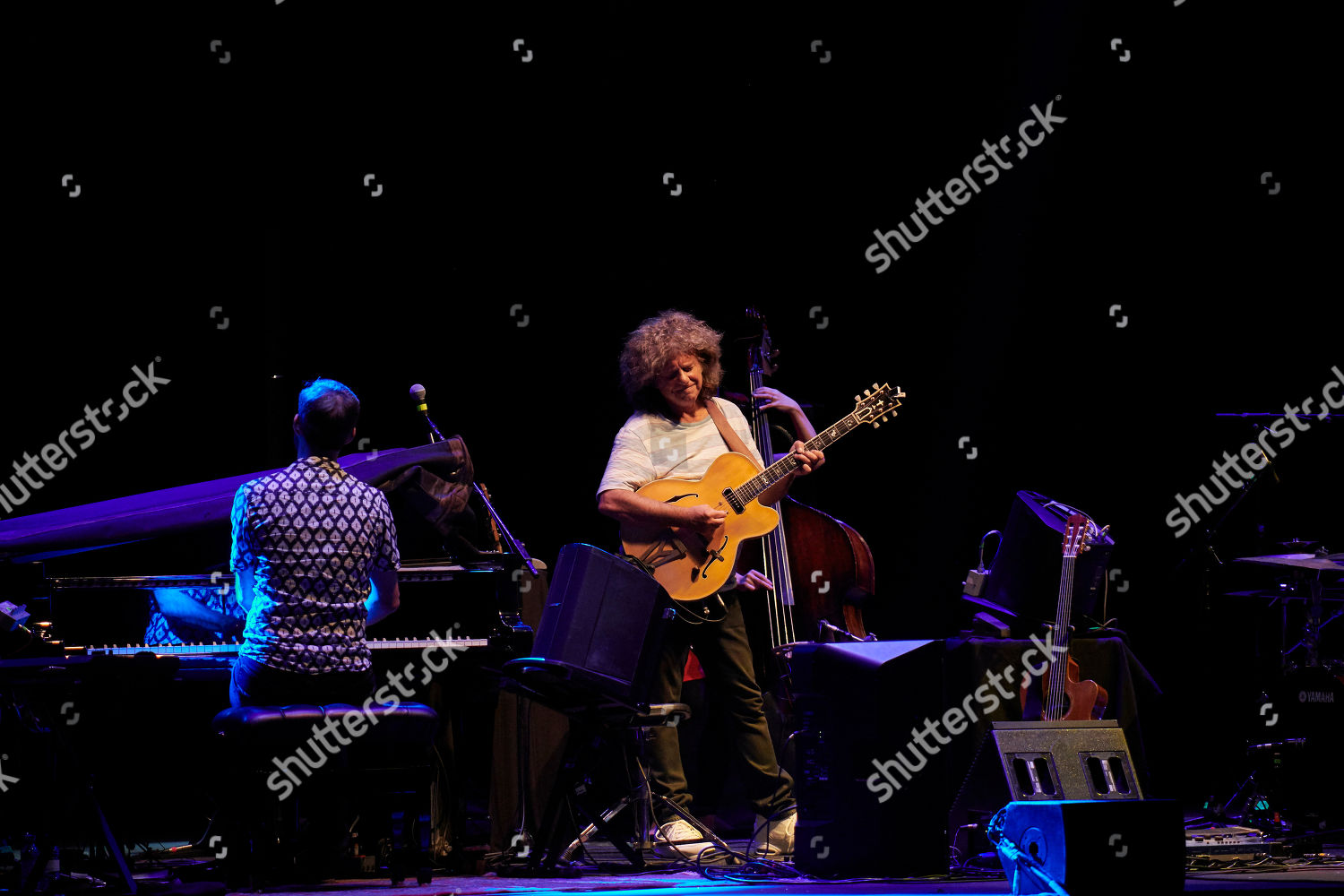 Pat Metheny Editorial Stock Photo - Stock Image | Shutterstock