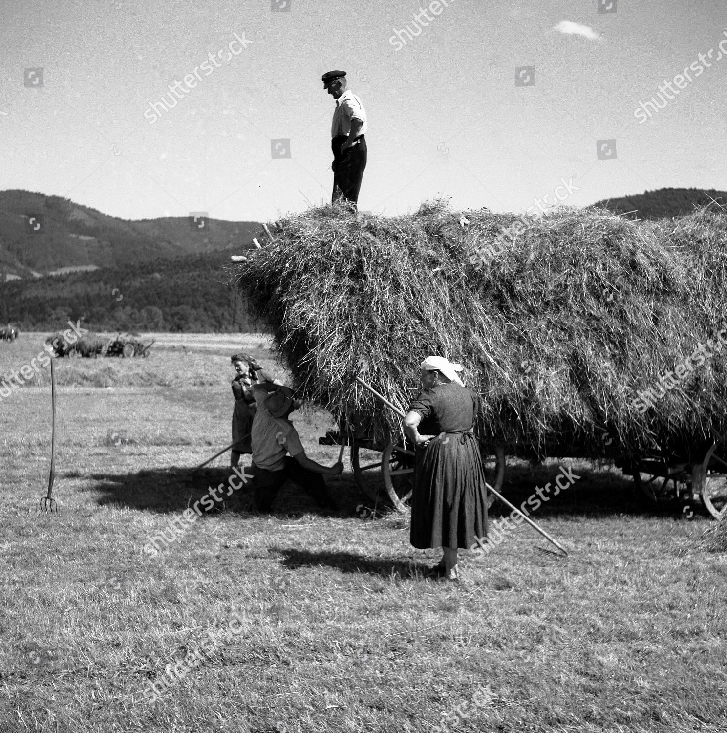 Women Sweep Hay Farmer Stands On Editorial Stock Photo - Stock Image ...