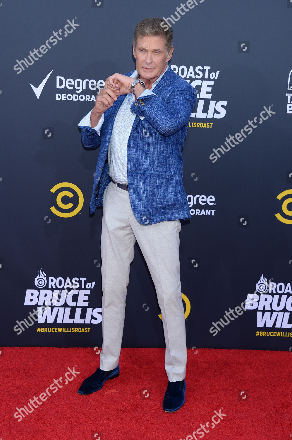 David Hasselhoff Editorial Stock Photo - Stock Image | Shutterstock