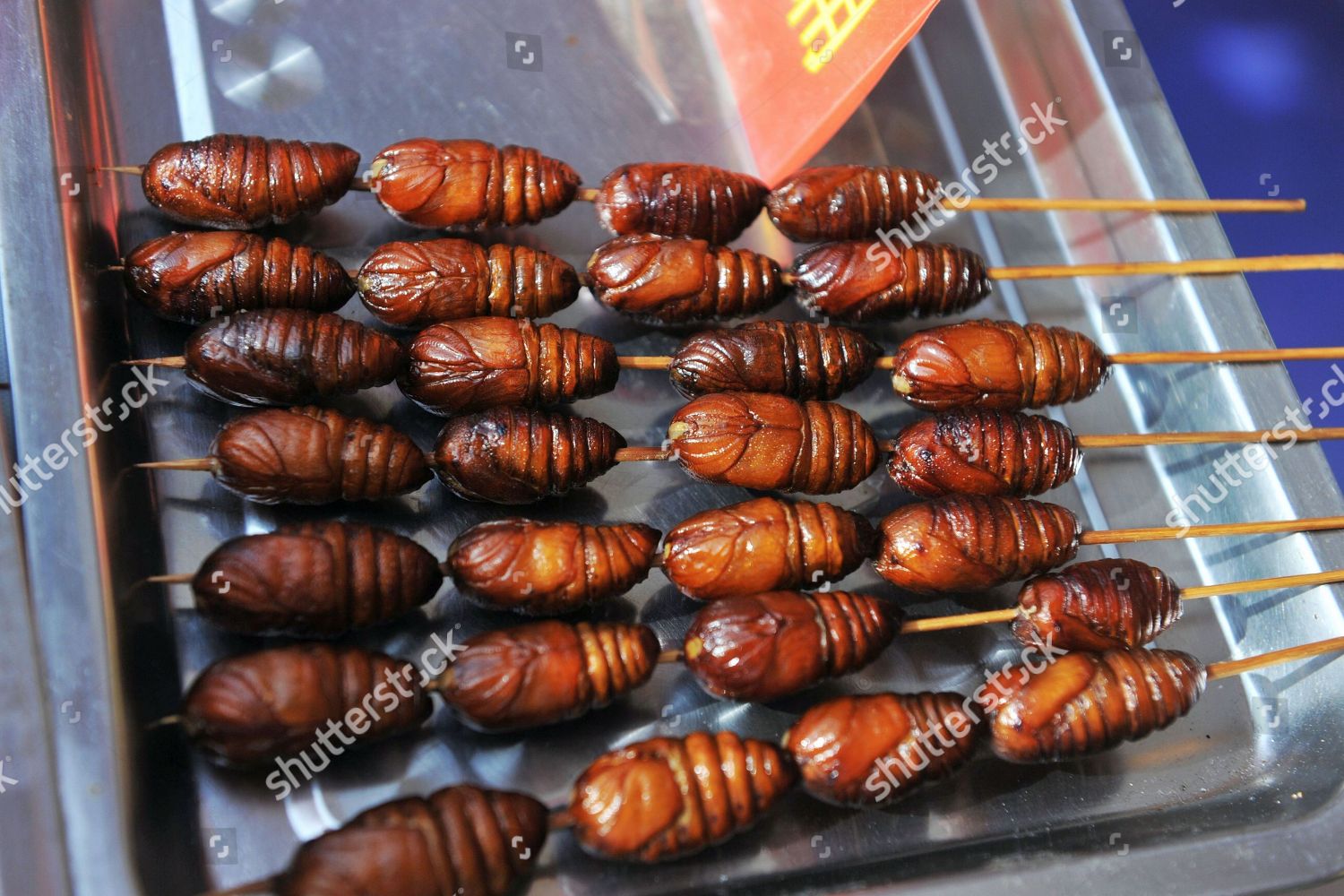 fried centipede