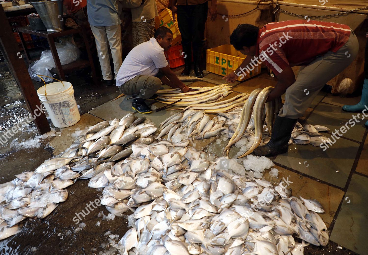 Fish Market Ganesh Peth Editorial Stock Photo Stock Image Shutterstock