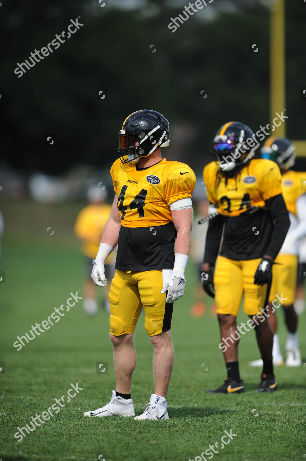 Th Steelers Tyler Matakevich 44 During Editorial Stock Photo