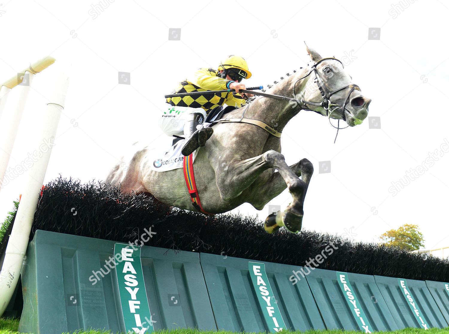 Galway Pakora Paul Townend Jump Last Win Editorial Stock Photo Stock Image Shutterstock