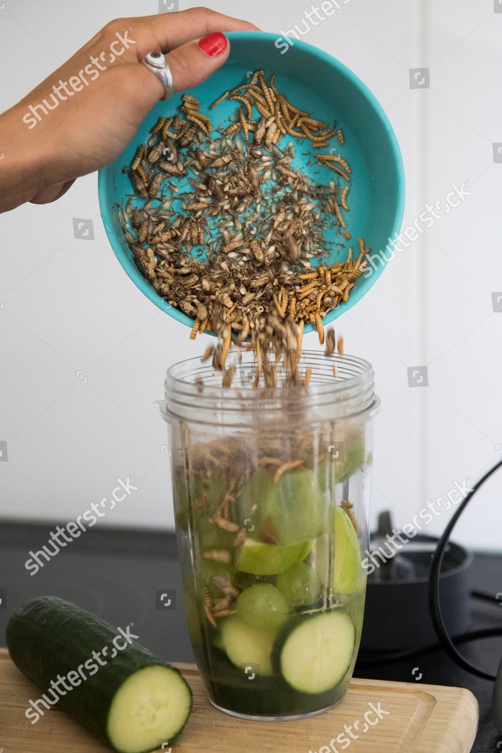 Insect Cook Andrea Staudacher Gives Mealworms Crickets Editorial Stock Photo Stock Image Shutterstock