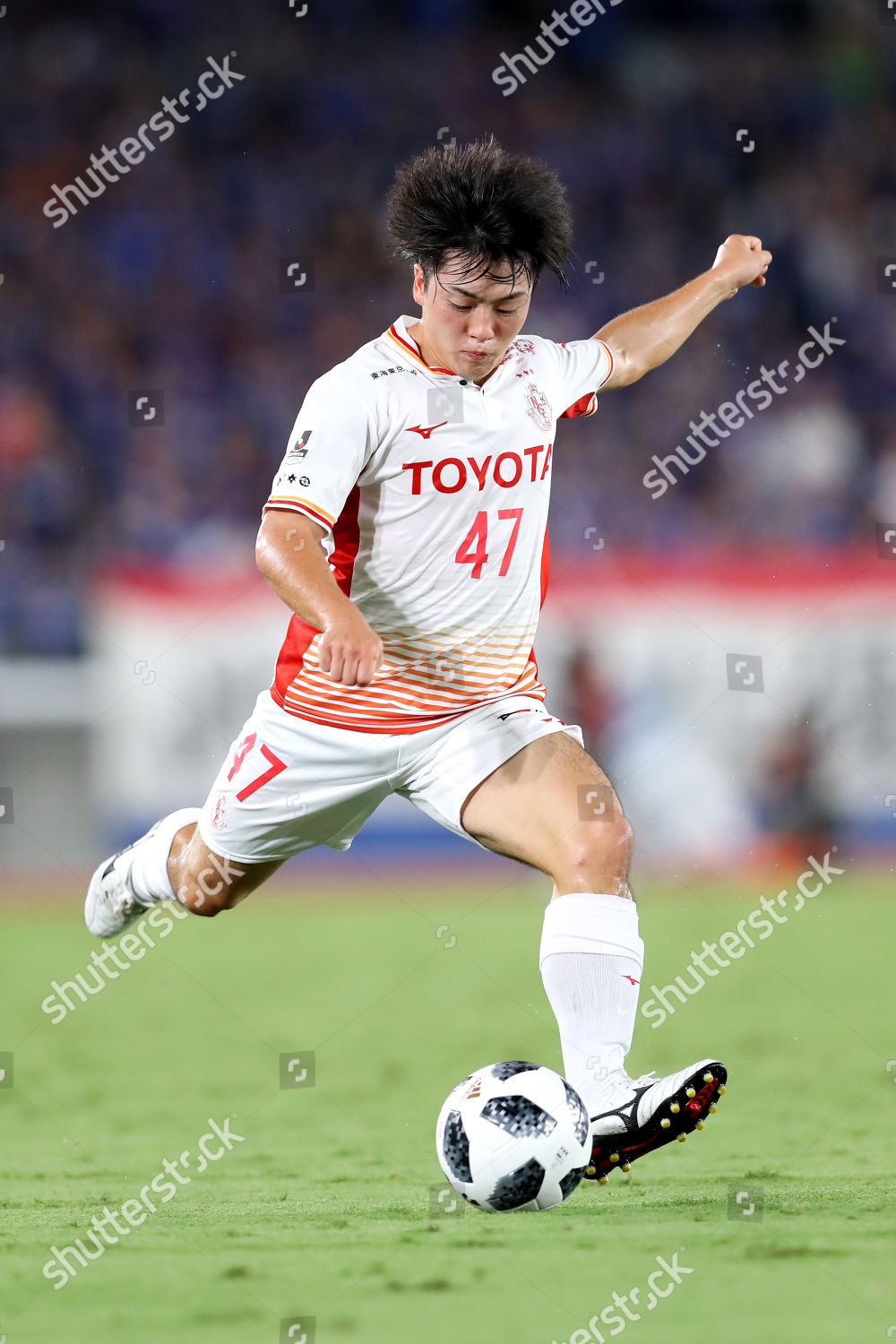 Yuki Soma Grampus Editorial Stock Photo Stock Image Shutterstock