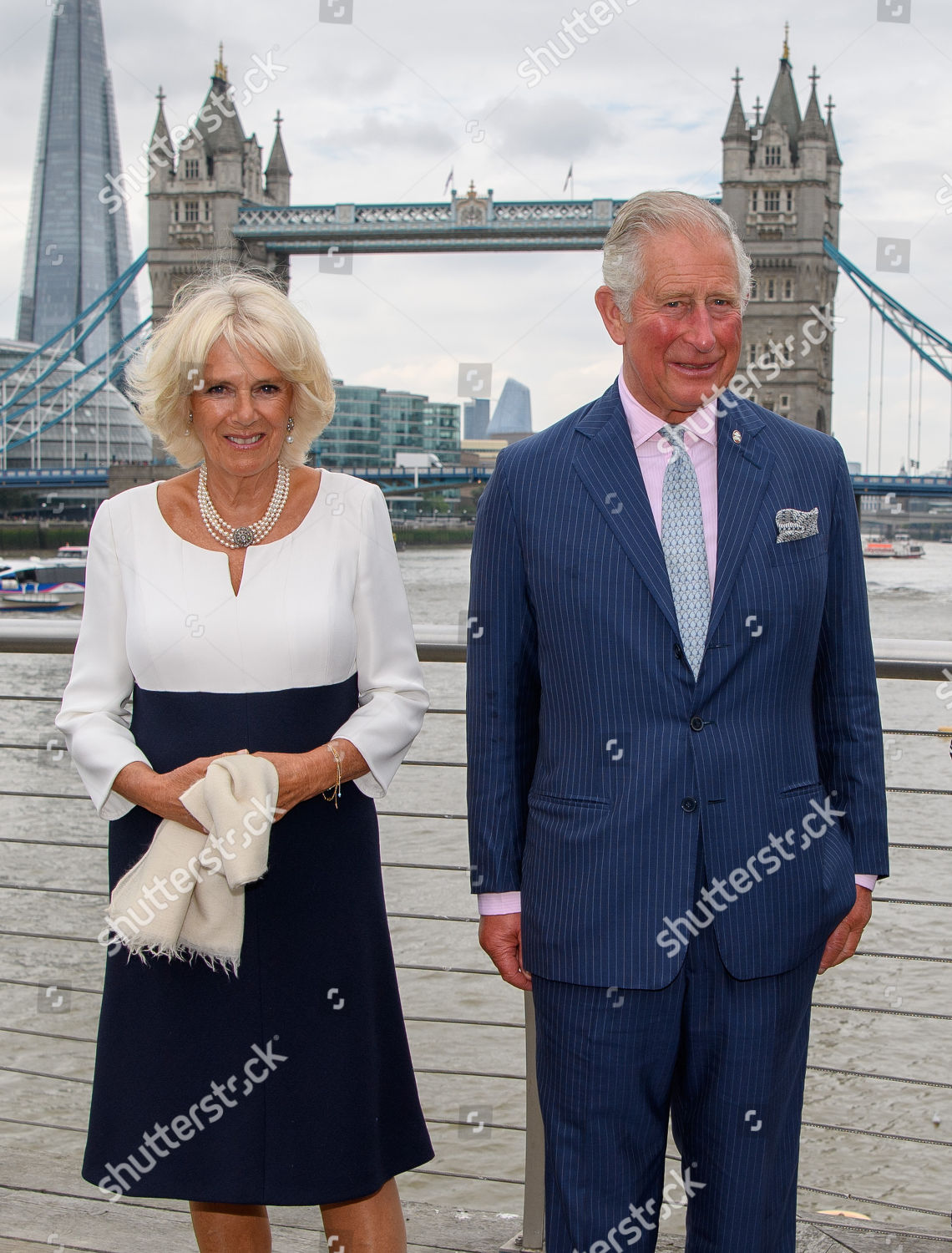 prince-charles-carries-out-royal-engagements-london-uk-shutterstock-editorial-9863246bl.jpg