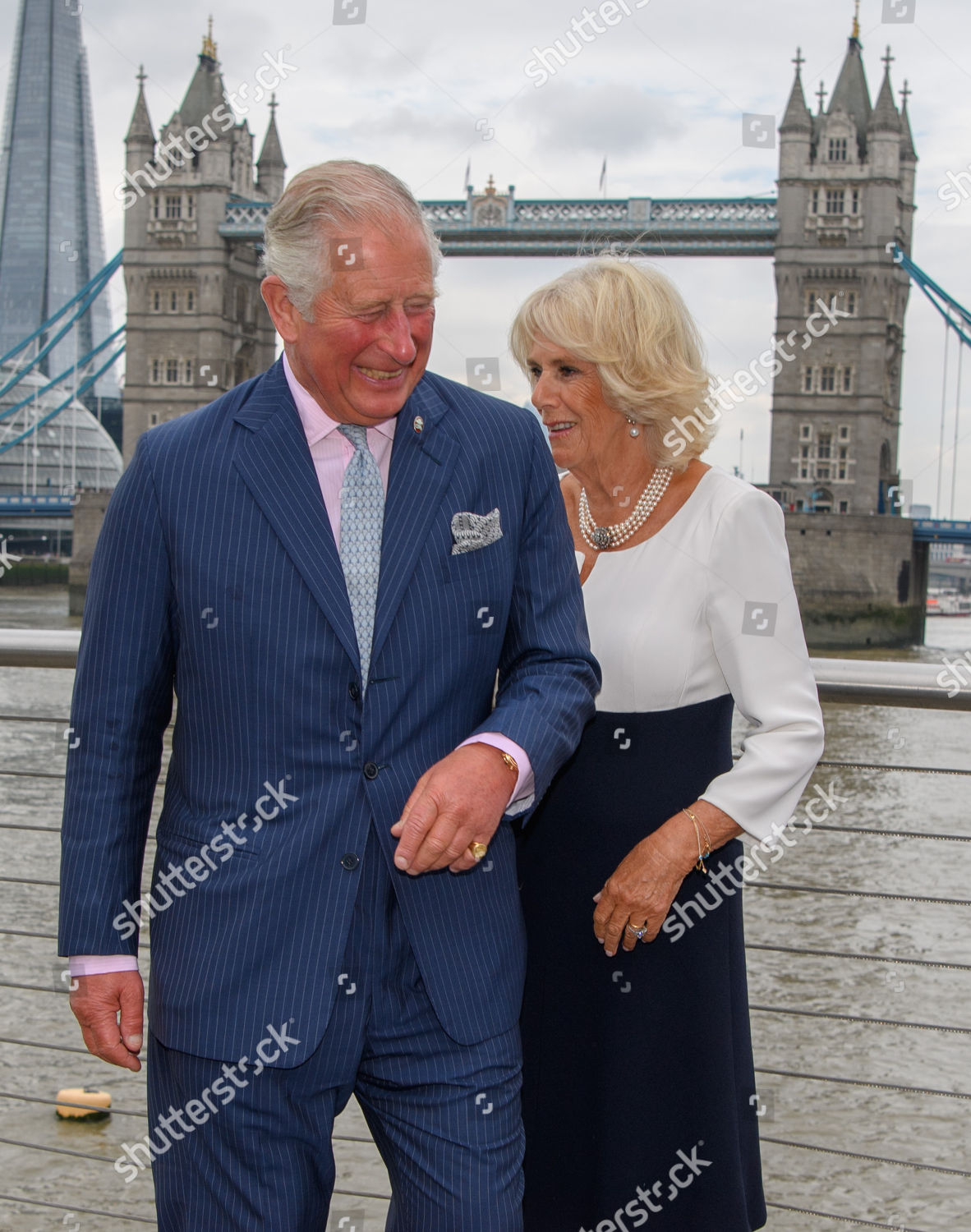 prince-charles-carries-out-royal-engagements-london-uk-shutterstock-editorial-9863246bo.jpg