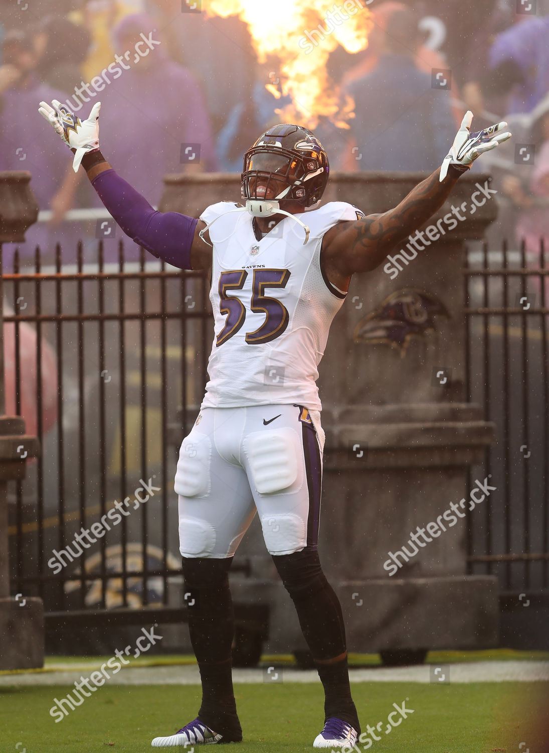 Baltimore Ravens Olb Terrell Suggs 55 Editorial Stock Photo