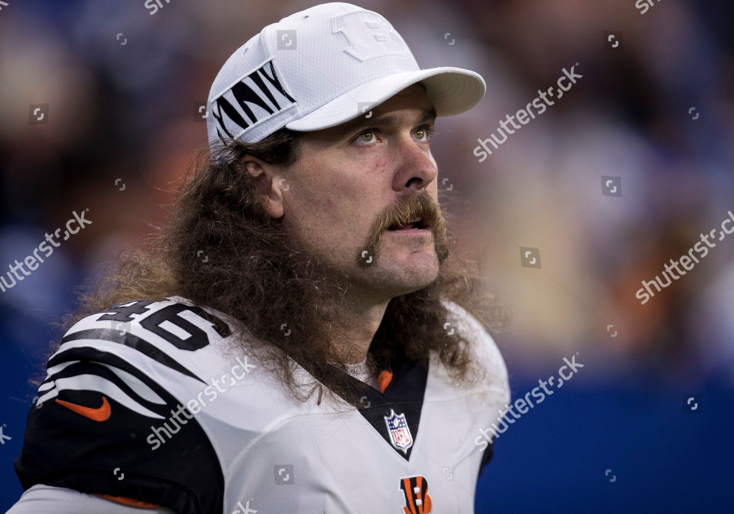 Cincinnati Bengals Long Snapper Clark Harris Editorial Stock Photo - Stock  Image